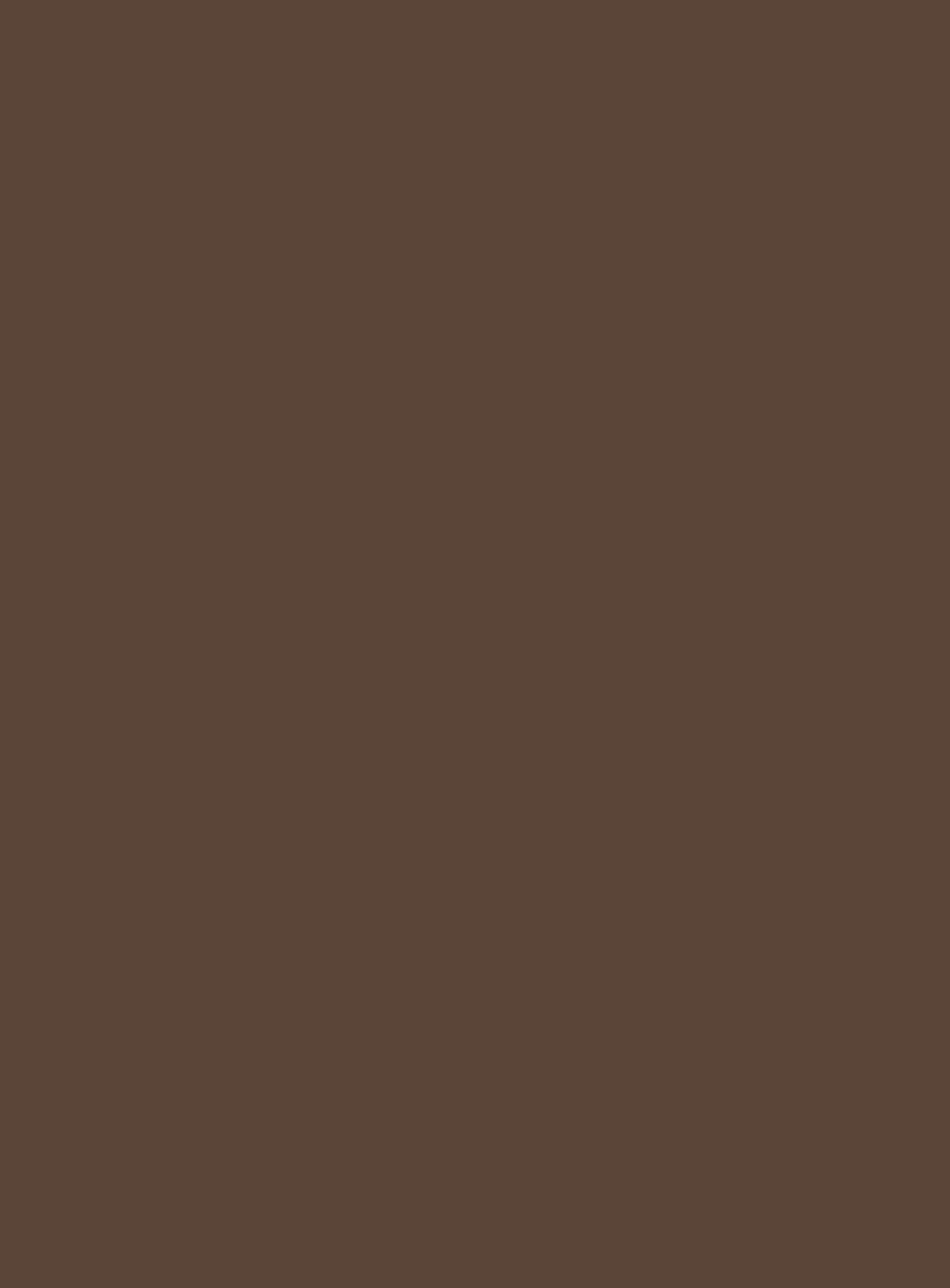 Brow Harmony Precision Pencil