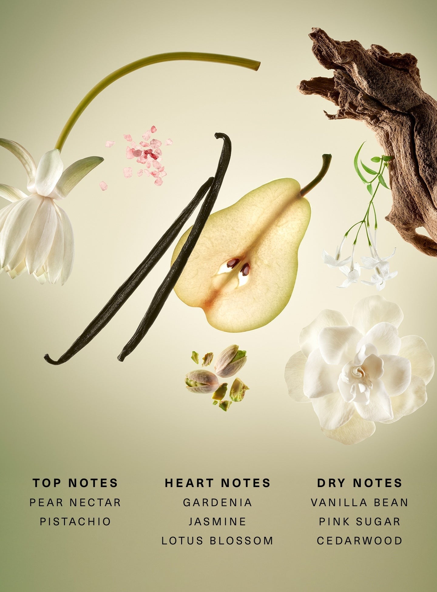 Rare Beginnings Eau de Parfum Travel Spray