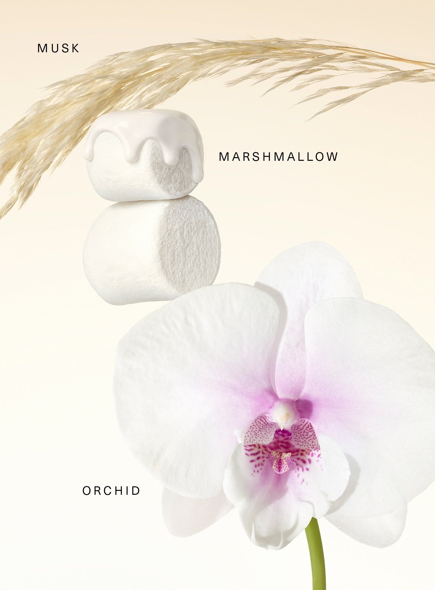 Fragrance Layering Balm – Sweet Marshmallow